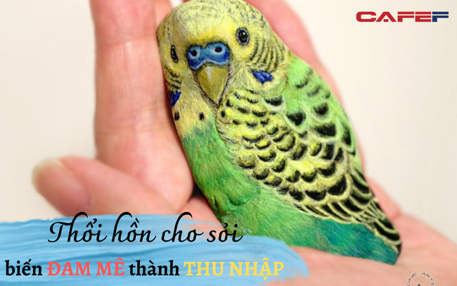 Lạ kỳ những loài động vật mini thu nhỏ trong lòng bàn tay: Nguyên liệu ở đâu cũng có nhưng vào tay người này giá trị tăng lên đến cả chục triệu đồng