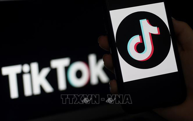 TikTok ngừng đàm phán về việc lập trụ sở tại Anh