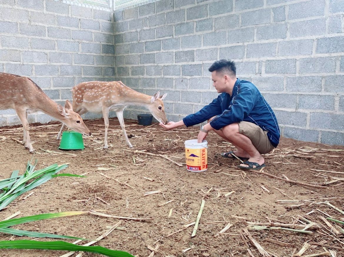 Chia Sẻ Của Chàng Trai Bỏ Đại Học Về Quê Làm Chăn Nuôi – Thu Nhập Hơn Nữa Tỷ Trong Năm