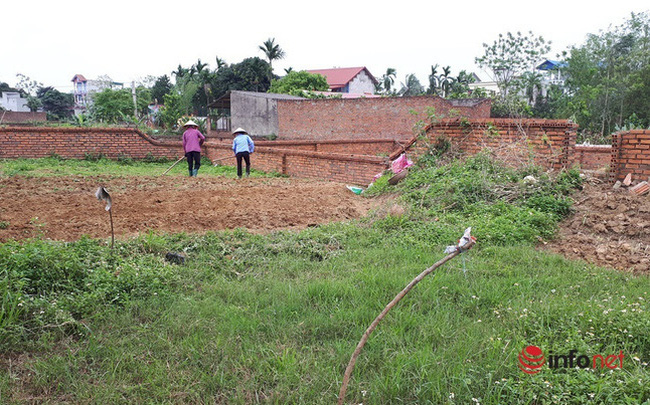 Đất nền lặng sóng, nhà vườn, trang trại giá rẻ ‘lên hương’