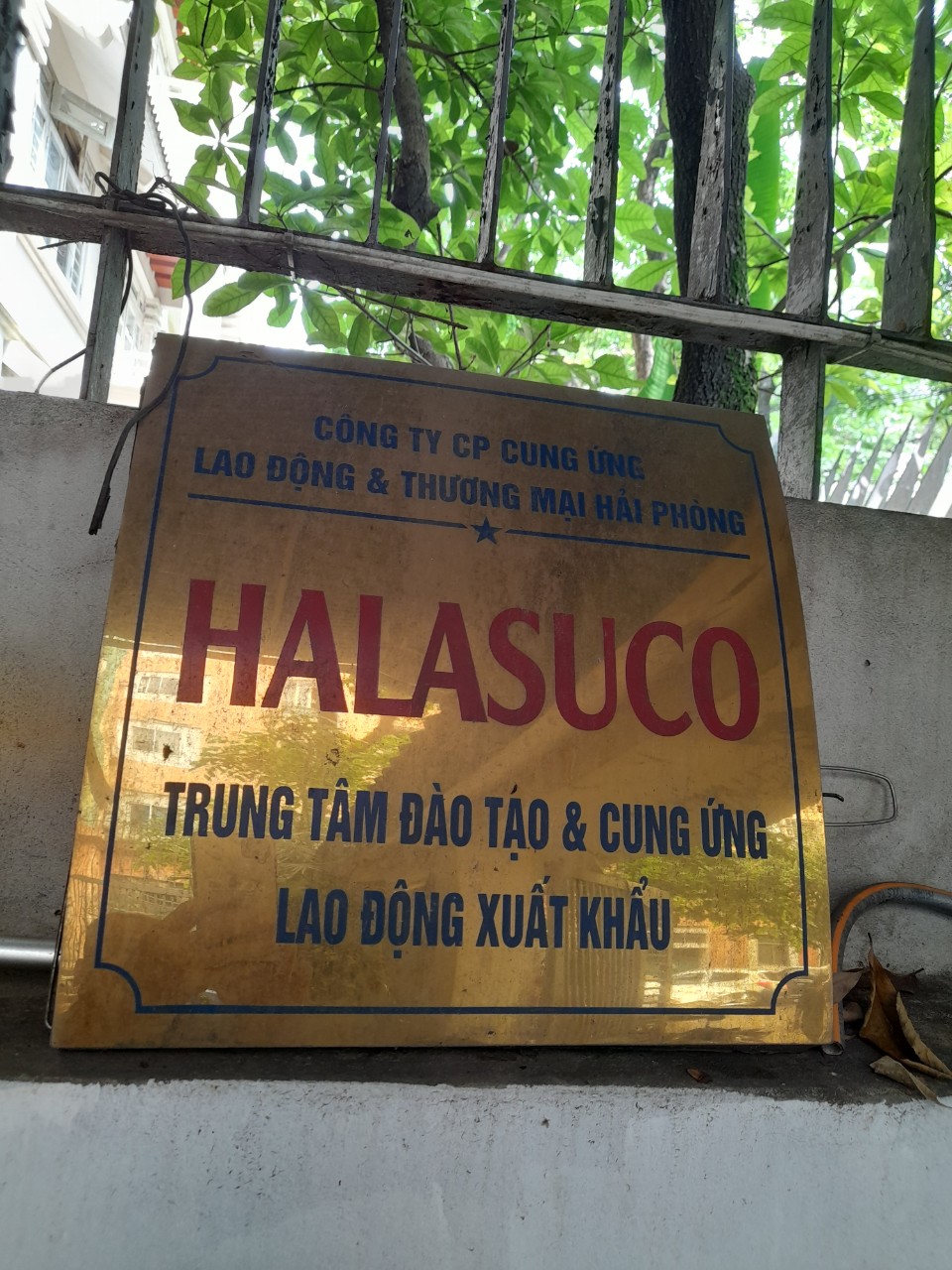 “HALASUCO – Cơ hội và ổn định: Hợp đồng 3 năm, mức lương hấp dẫn và thời gian làm việc linh hoạt!”