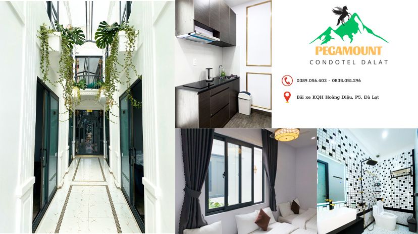 Pegamount Condotel Dalat: Khám phá Một Thương Hiệu Homestay Độc Đáo