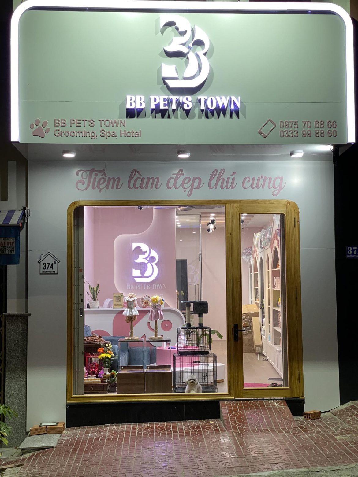 “BB Pet Town Quy Nhơn: Nơi Chăm Sóc Thú Cưng Tận Tâm và Chuyên Nghiệp”