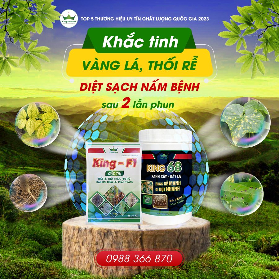 “Tập Đoàn KingBio World: Đối Tác Tin Cậy Cho Nền Nông Nghiệp Sinh Học Bền Vững”